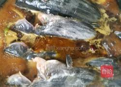 昂刺鱼炖臭干的做法图解7
