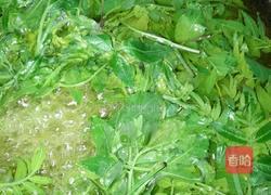 油炸花椒叶的做法图解3