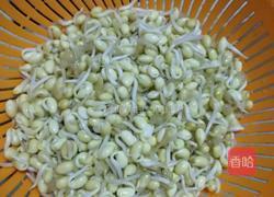 豆芽炒肉丝的做法图解2