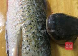 松鼠鱼的做法图解1