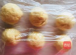 椰蓉蔓越莓面包（手揉面）的做法图解5