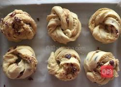 椰蓉蔓越莓面包（手揉面）的做法图解10