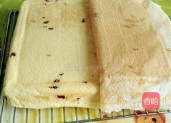 蔓越莓蛋糕卷的做法图解17