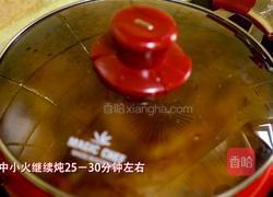 韩式辣白菜炖鸡肉块的做法图解16