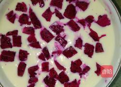 酸奶冻的做法图解9