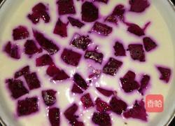 酸奶冻的做法图解11