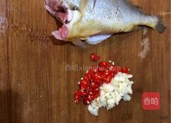 焖黄花鱼的做法图解2