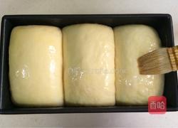 炼乳吐司（中种）的做法图解14