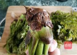 刺老芽炒鸡蛋的做法图解2