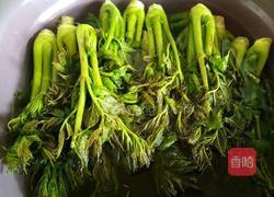 刺老芽炒鸡蛋的做法图解4