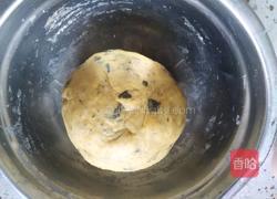 海苔苏打饼干的做法图解4
