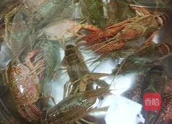 麻辣小龙虾的做法图解1