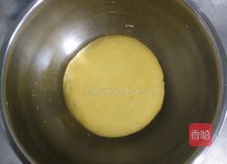 黄金千层花卷的做法图解5