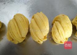 黄金千层花卷的做法图解12