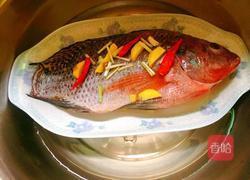 清蒸非洲鲫鱼（清蒸罗非鱼）的做法图解5