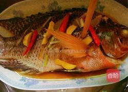 清蒸非洲鲫鱼（清蒸罗非鱼）的做法图解6
