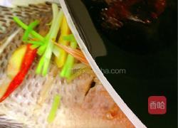 清蒸非洲鲫鱼(清蒸罗非鱼)的做法图解8