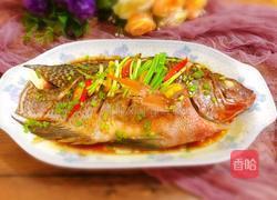 清蒸非洲鲫鱼(清蒸罗非鱼)的做法图解9