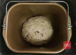 燕麦蜂蜜软欧包的做法图解6