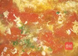 西红柿鸡蛋汤的做法图解4