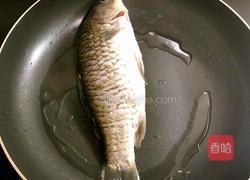 无刺鲫鱼豆腐汤的做法图解4