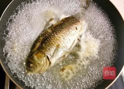 无刺鲫鱼豆腐汤的做法图解8