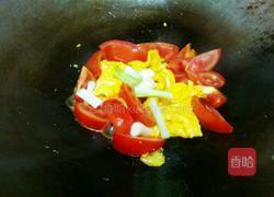 番茄鸡蛋粉丝的做法图解12