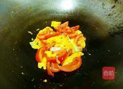 番茄鸡蛋粉丝的做法图解13