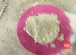 火龙果椰蓉奶冻的做法图解3