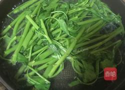 老友空心菜的做法图解2