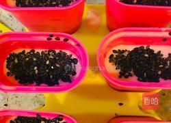 西瓜冰棍的做法图解10