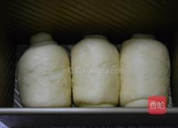 奶香吐司的做法图解8