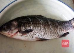 凉拌大鲫鱼的做法图解1