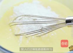 轻芝士乳酪蛋糕的做法图解7