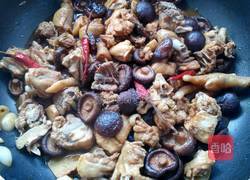 香菇烧鸡块的做法图解18