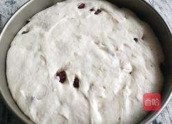 蔓越莓发糕的做法图解5