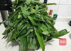 凉拌苦苦菜的做法图解3