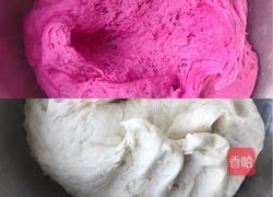 小豬奶黃包的做法圖解9