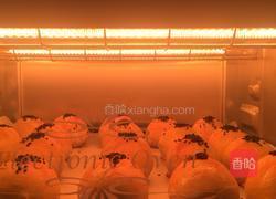 蛋黄酥的做法图解10