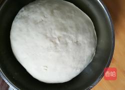 蒸花卷的做法图解1