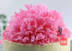 全球最实在的康乃磬的做法图解15