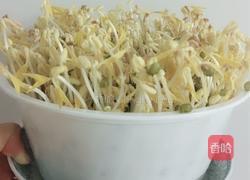 豆芽~抖芽~~~的做法图解7