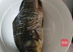 鲫鱼汤的做法图解1