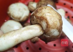 脏脏土豆馒头和香菇蘑菇馒头的做法图解13