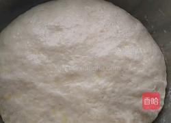 香脆芝麻饼的做法图解5