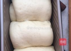 奶香吐司的做法图解16