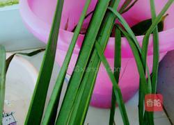 五花肉花生粽的做法图解3
