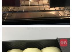 北海道吐司(中种法)的做法图解11