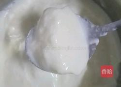自制酸奶的做法图解5