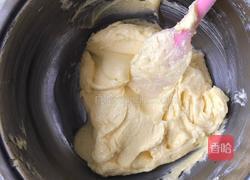 蔓越莓饼干的做法图解8